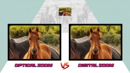 image difference-optical-and-digital-zoom