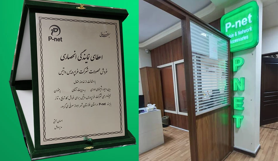 تاریخچه شرکت پی نت