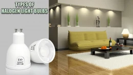 image TYPES-OF-HALOGEN-LIGHT-BULBS (1)