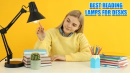 image incandescent-vs-fluorescent-vs-led-light-bulbs (1)