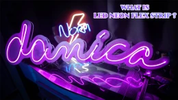 image WHAT IS LED NEON FLEX STRIP