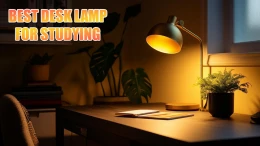 image best-desk-lamp-for-studying (3)