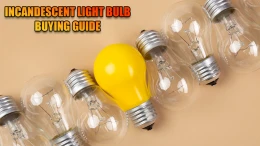 image incandescent-light-bulb-buying-guide (4)