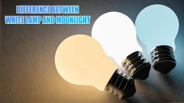 image difference-between-white-lamp-and-moonlight (1) 3