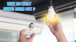 image reasons-why-do-light-bulbs-burn-out (4)
