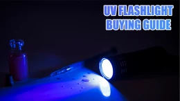 image uv-flashlight-buying-guide
