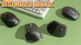 image best-mouse-brands (2)
