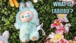 image عروسک لبوبو چیست؟ داستان، خالق و راز محبوبیت جهانی (Labubu) image
