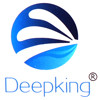 دیپ کینگ - DeepKing