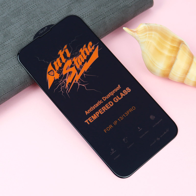گلس Anti Static آیفون iPhone 13 / 13 Pro