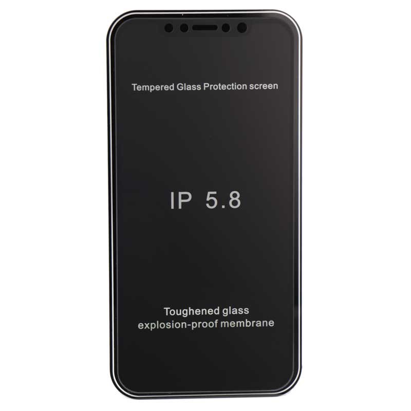 گلس Privacy مات iPhone 11 Pro مشکی