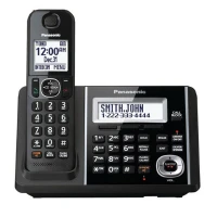 تلفن بی سیم Panasonic KX-TGF340