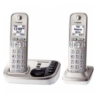 تلفن بی سیم Panasonic KX-TGD222