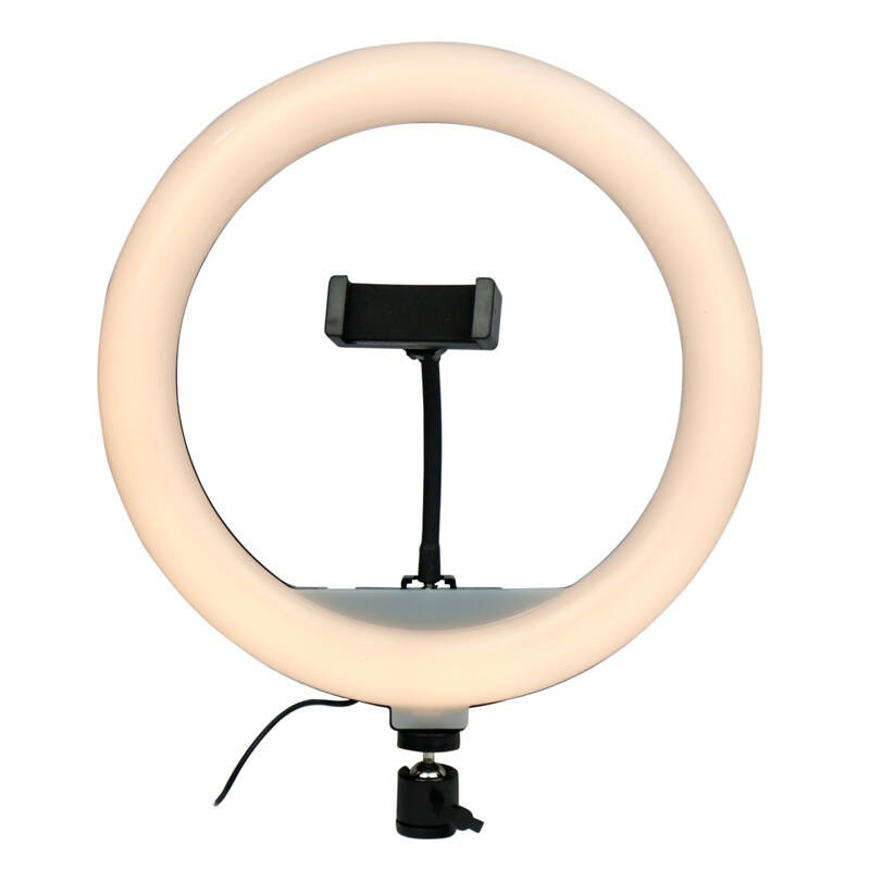 رینگ لایت YQ-320B
