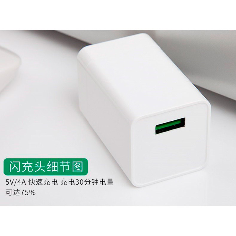 کلگی شارژ YZDZ24 4A 20W