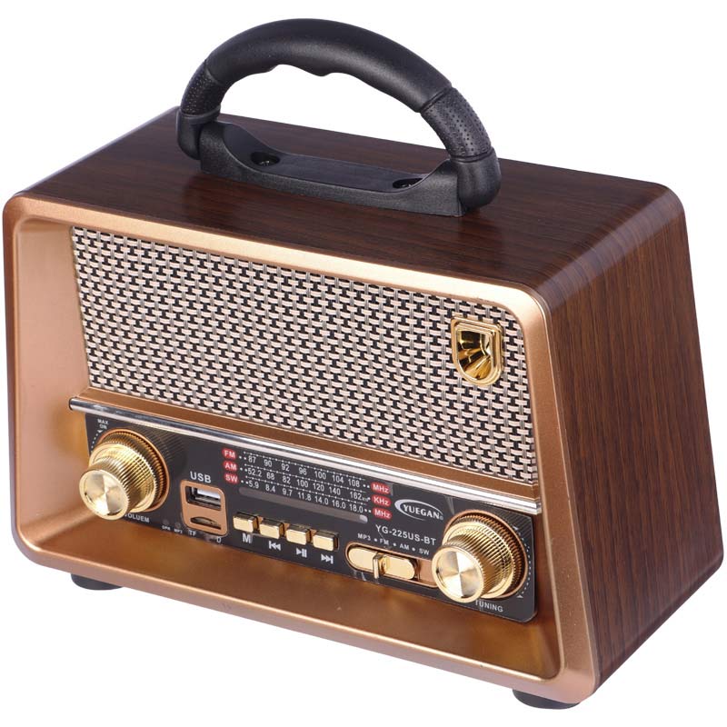 رادیو اسپیکر بلوتوثی رم و فلش خور Yuegan YG-225US-BT
