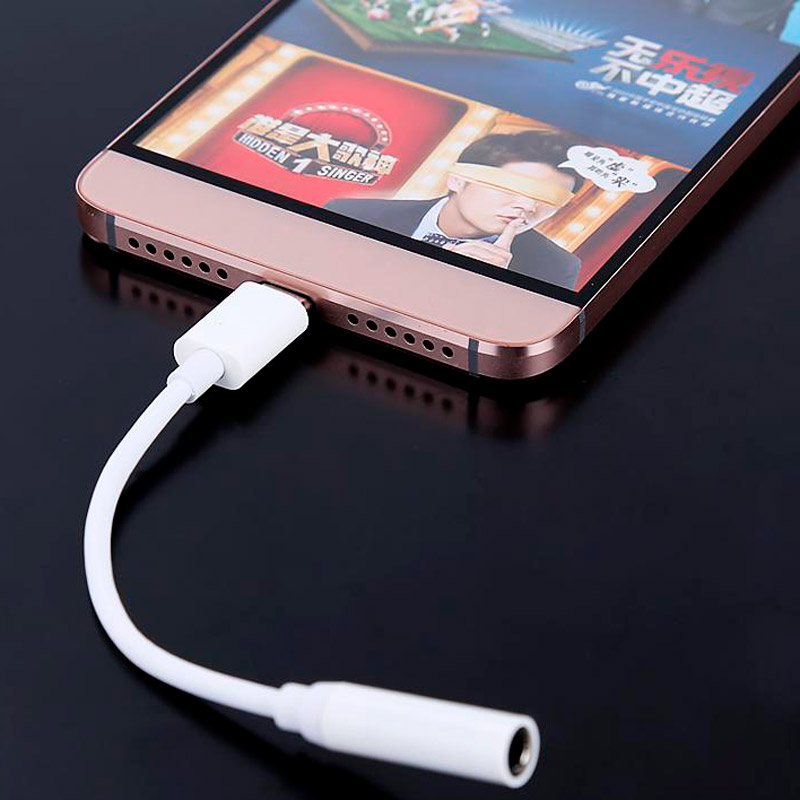 تبدیل اورجینال LE4081000028 Type-C to AUX 10cm