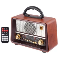 رادیو اسپیکر بلوتوثی رم و فلش خور Yuegan YG-226AR-BT + ریموت کنترل