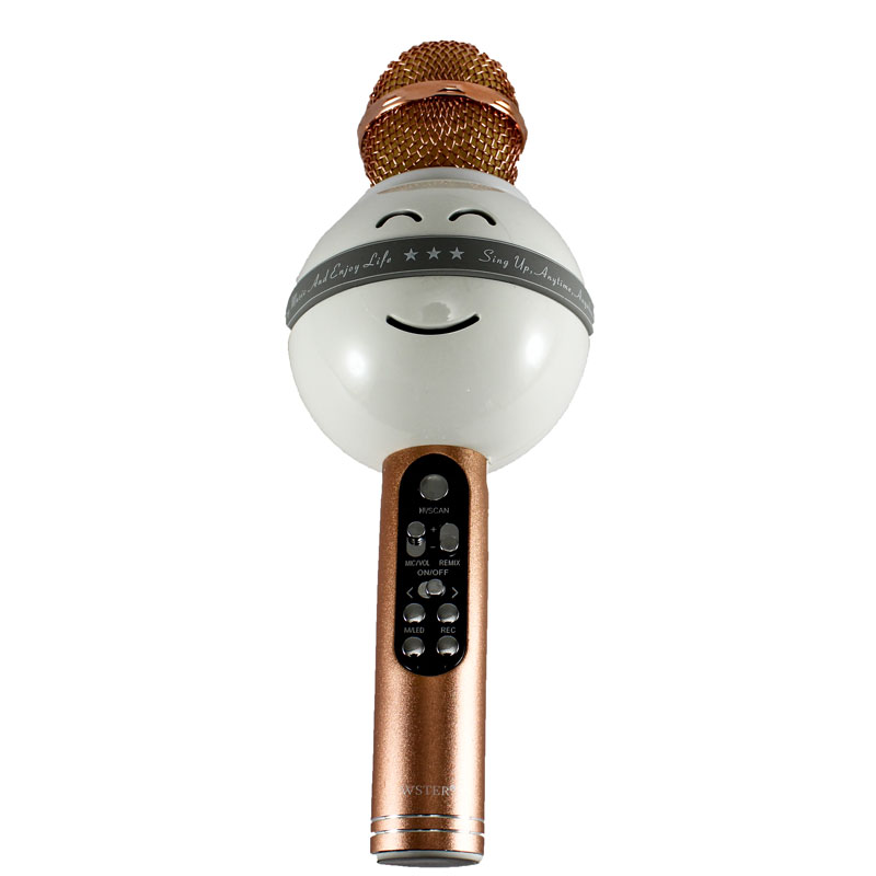 میکروفون و اسپیکر WSTER WS-878