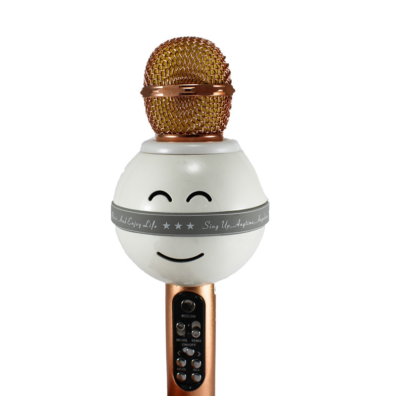 میکروفون و اسپیکر WSTER WS-878
