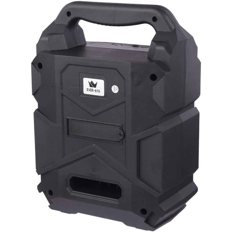اسپیکر بلوتوثی رم و فلش خور Ever Electric Ever-615