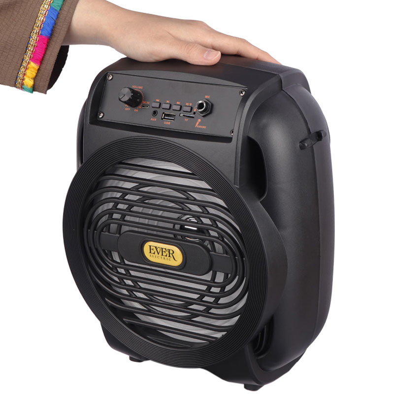 اسپیکر بلوتوثی رم و فلش خور Ever Electric Ever-820