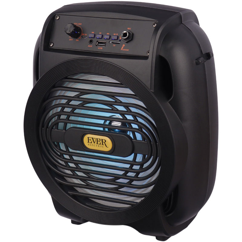 اسپیکر بلوتوثی رم و فلش خور Ever Electric Ever-820