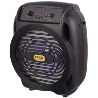 اسپیکر بلوتوثی رم و فلش خور Ever Electric Ever-820