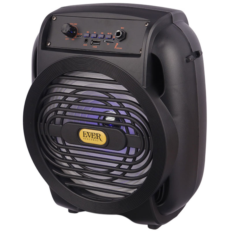 اسپیکر بلوتوثی رم و فلش خور Ever Electric Ever-820