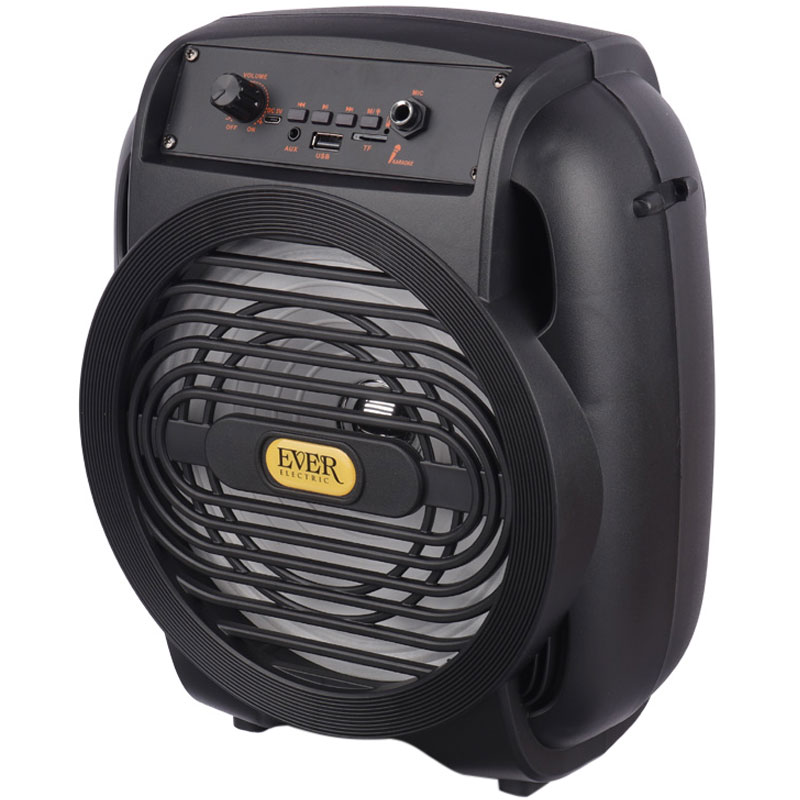 اسپیکر بلوتوثی رم و فلش خور Ever Electric Ever-820