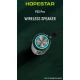 اسپیکر بلوتوثی رم و فلش خور Hopestar P30 Pro