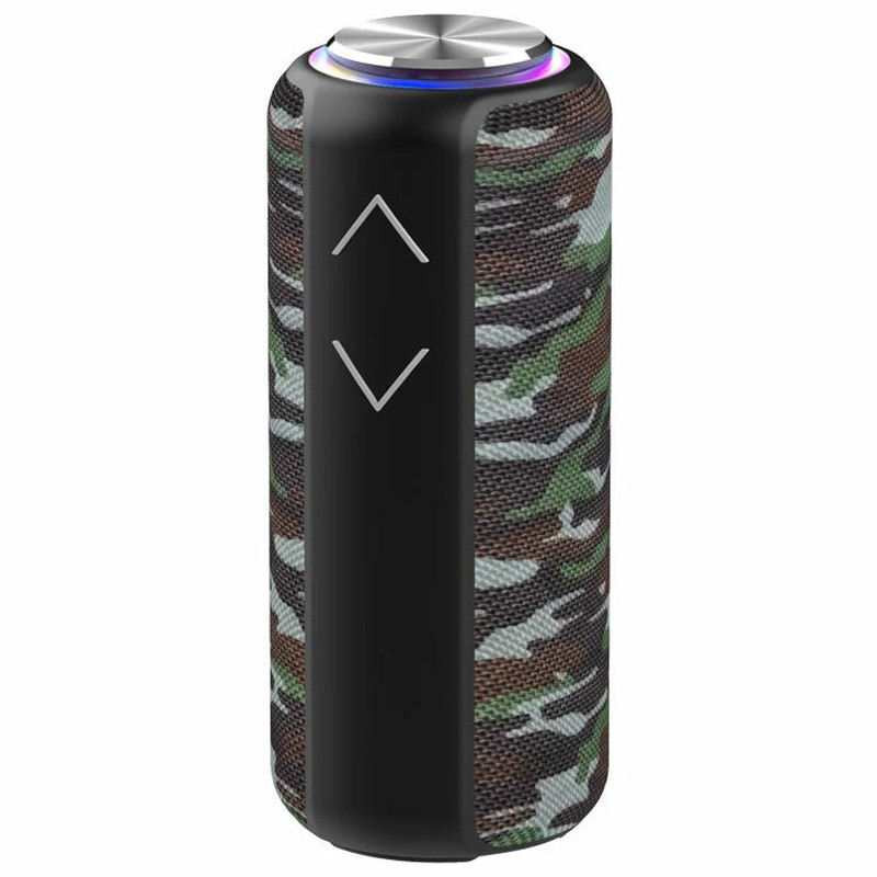 اسپیکر بلوتوثی رم و فلش خور Hopestar P30 Pro