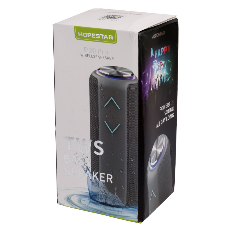 اسپیکر بلوتوثی رم و فلش خور Hopestar P30 Pro