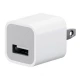 کلگی شارژ iPhone 1A 5W