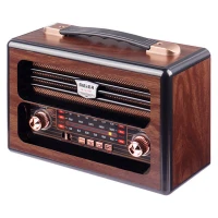 رادیو اسپیکر بلوتوثی رم و فلش خور Meier M-1917BT