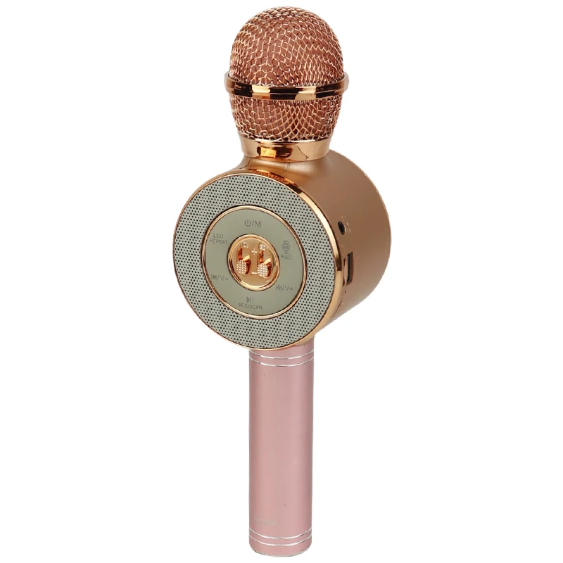 میکروفون و اسپیکر Bodn.Kadn BK-668