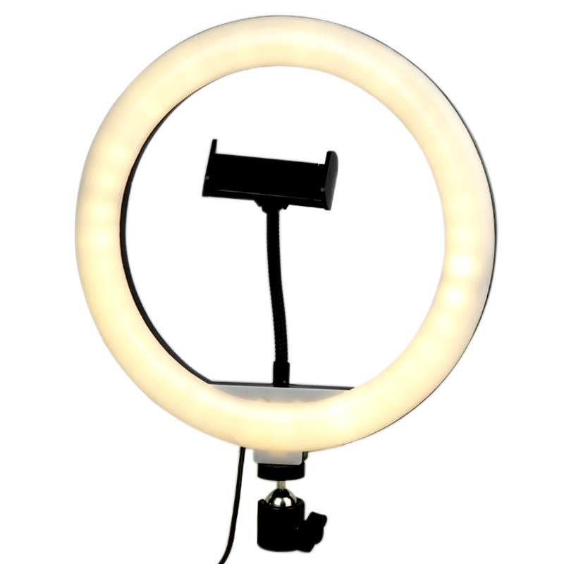 رینگ لایت پایه دار “Ring Fill Light ZMX-260 10