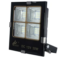 پروژکتور سیار CAICAI CC1905 LED 30W