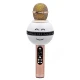 میکروفون اسپیکر بادن کادن BK-878