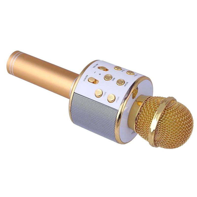 میکروفون اسپیکر بادن کادن BK-858