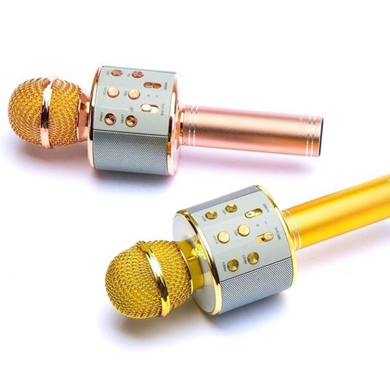 میکروفون اسپیکر بادن کادن BK-858