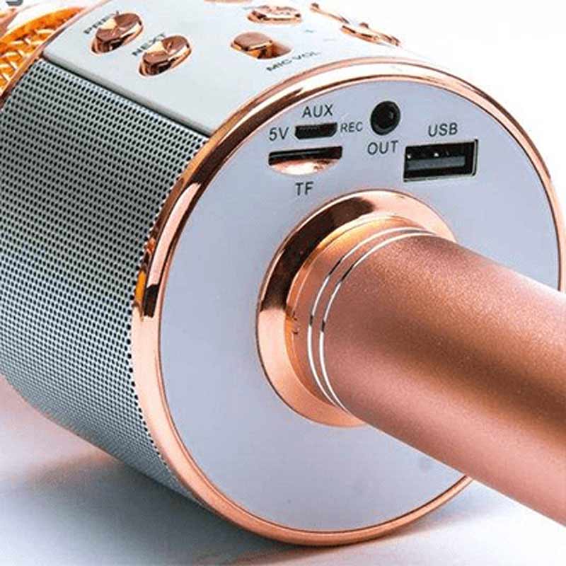 میکروفون اسپیکر بادن کادن BK-858