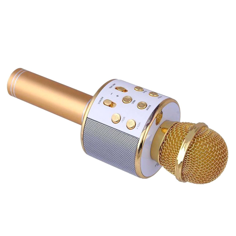 میکروفون اسپیکر بادن کادن BK-858