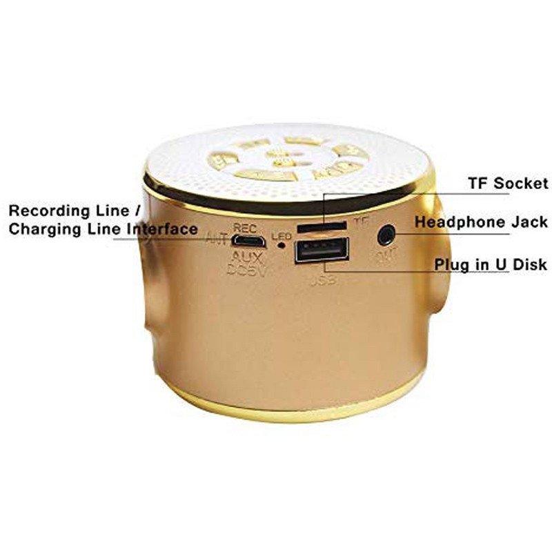 میکروفون اسپیکر WS-669