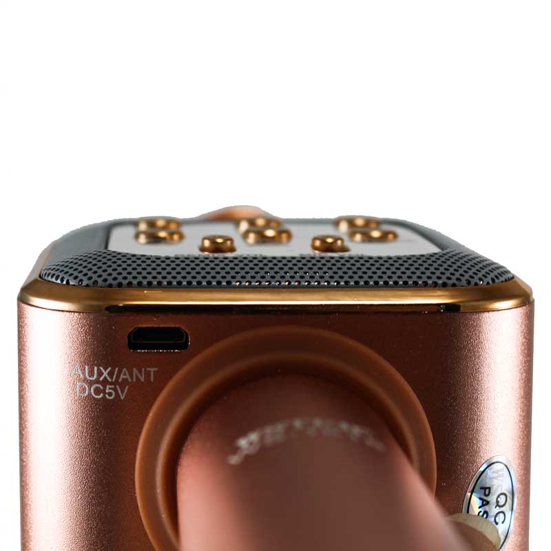 میکروفون اسپیکر وستر WS-1818