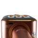 میکروفون اسپیکر وستر WS-1818