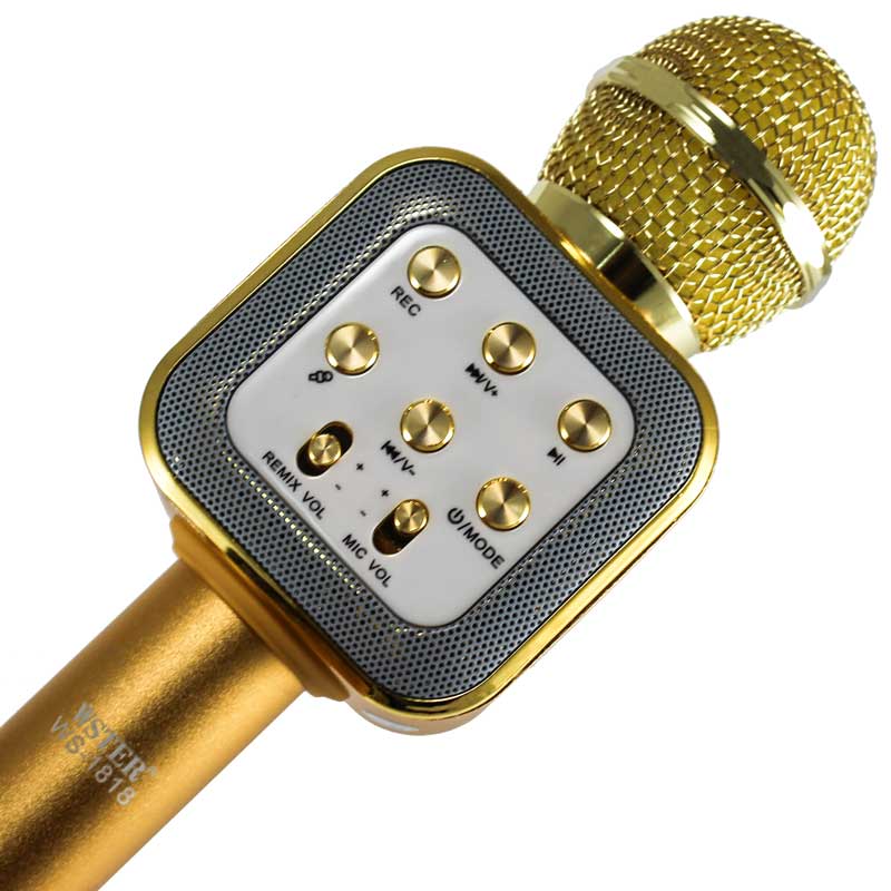 میکروفون اسپیکر وستر WS-1818