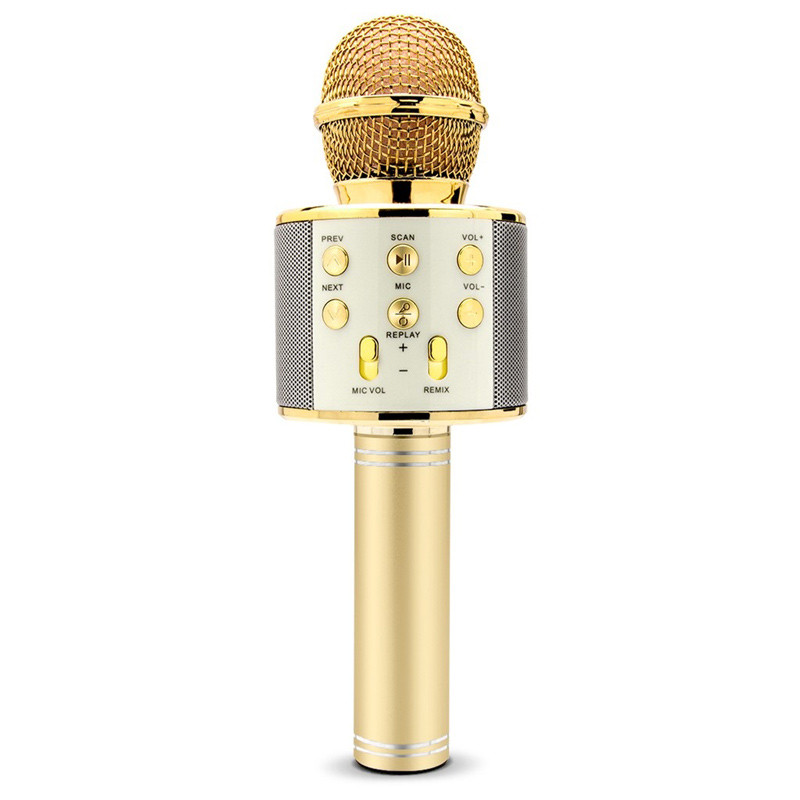 میکروفون اسپیکر وستر مدل WSTER WS-858