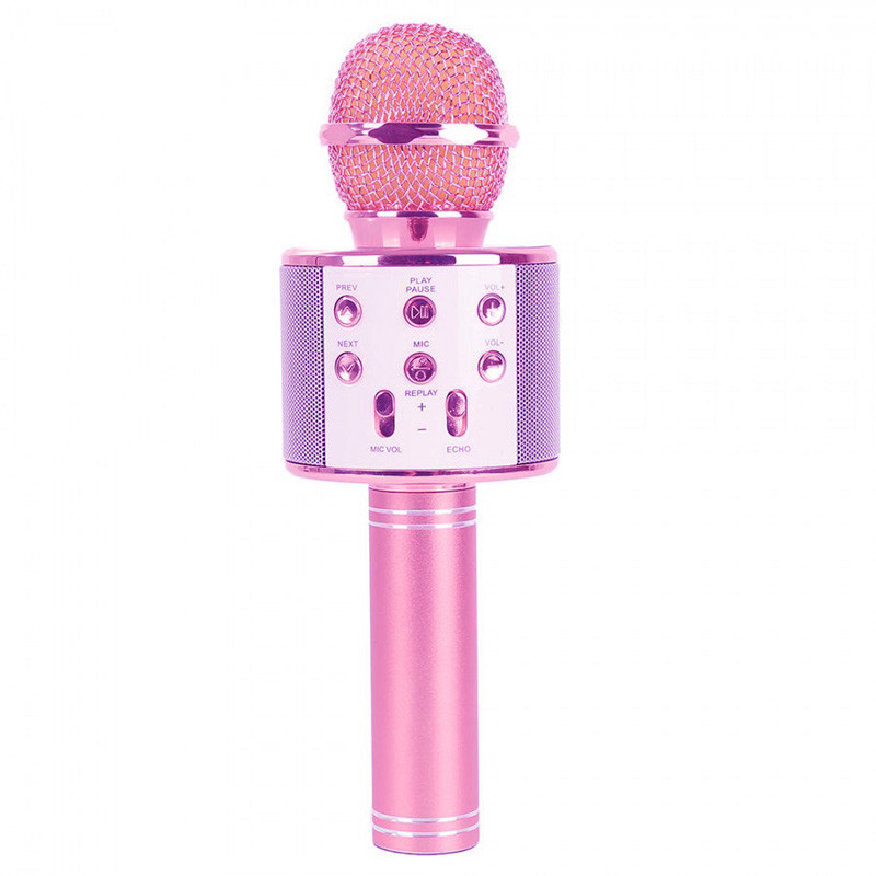 میکروفون اسپیکر وستر مدل WSTER WS-858