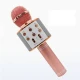 میکروفون اسپیکر وستر مدل WSTER WS-858